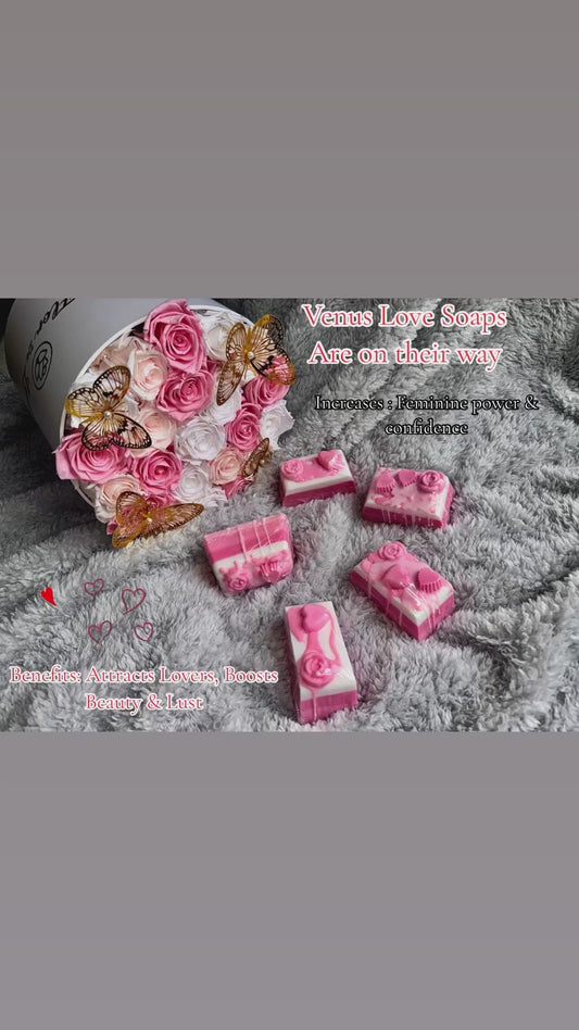 Venus Soap